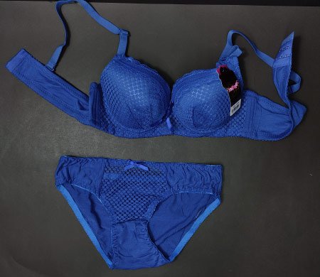 2 pc sushiyi blue bra.jpg