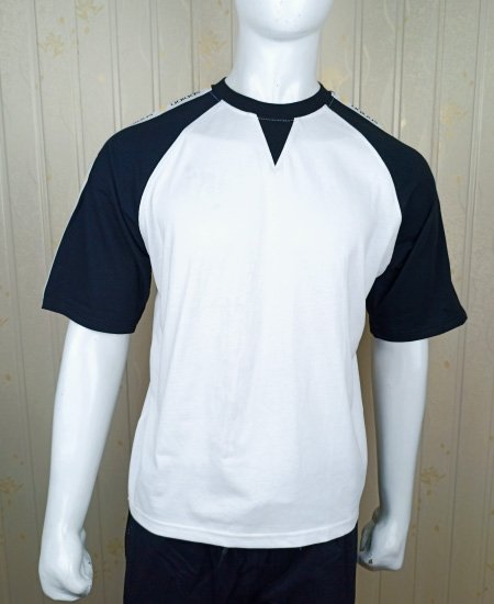 adidas t shirt 1 1.jpg