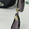 amazon leftover lacste metallic black sunglasses 7.jpg