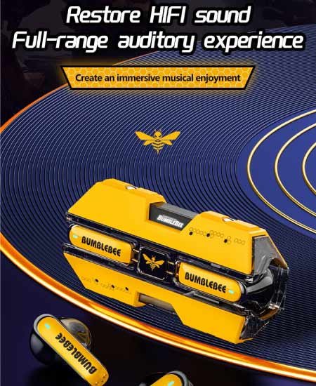 bumblebee a.jpg