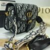 cd luxury handbag 01 1.jpg