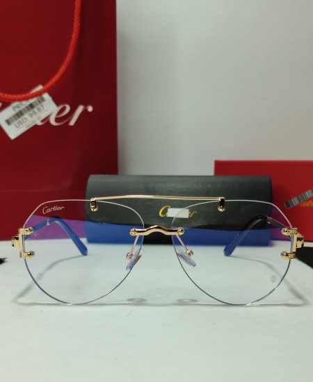 carter gold aviator power glasses frame 2 1.jpg