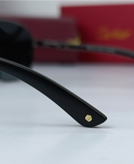 cartier aviator sunglasses crt31 2.jpg cartier aviator sunglasses crt31 2.jpg