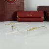 cartier golden leopard power glasses frame crt51 5.jpg
