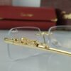 cartier golden leopard power glasses frame crt51 7.jpg