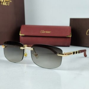 cartier granite minimal sunglasses crt061.jpg