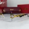 cartier iconic power glasses 1.jpg