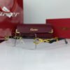 cartier iconic power glasses 2.jpg