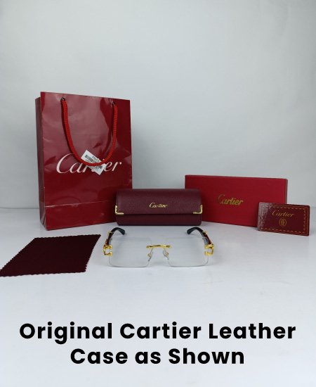 cartier iconic power glasses 6.jpg