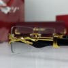 cartier iconic power glasses 7.jpg
