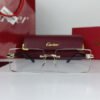 cartier legends power glasses 2.jpg