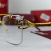 cartier power glasses.jpg