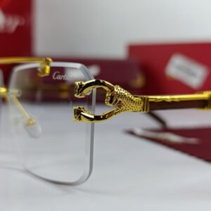 cartier power glasses.jpg