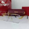 cartier power glasses leopard 2.jpg