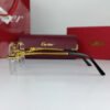 cartier power glasses leopard 3.jpg