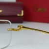 cartier power glasses leopard 5.jpg