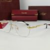 cartier snake power glasses 2.jpg cartier snake power glasses 2.jpg