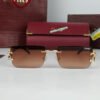 cartier sunglasses brown air crt 113 2.jpg