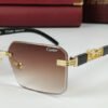 cartier sunglasses golden leopard crt 111 1.jpg
