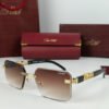 cartier sunglasses golden leopard crt 111 7.jpg