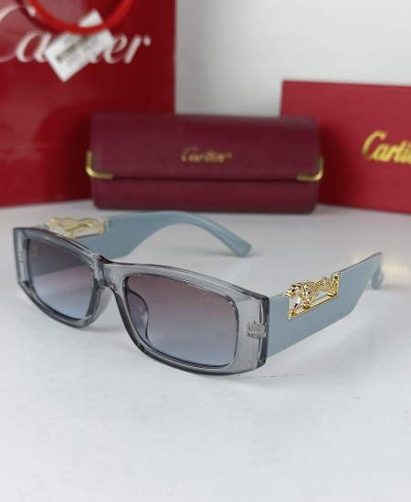 cartier sunglasses gray leopard crt82 2.jpg