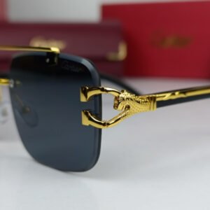 cartier sunglasses iconic glossy crt74 1.jpg