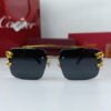 cartier sunglasses price in pakistan 3.jpg