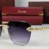 cartier sunglasses snake crt 112 1.jpg cartier sunglasses snake crt 112 1.jpg