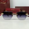 cartier sunglasses snake crt 112 2.jpg cartier sunglasses snake crt 112 2.jpg