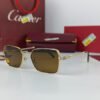 cartier sunglasses vintage brown crt37 6.jpg