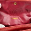 chanel red snake double flap bag 2.jpg
