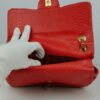 chanel red snake double flap bag 4.jpg