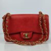 chanel red snake double flap bag 6.jpg