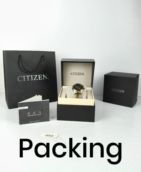 citizen vip jubilee two tone black dial watchvv copy.jpg citizen vip jubilee two tone black dial watchvv copy.jpg