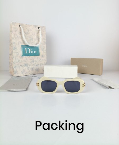 dior off white iconic sunglasses 1.jpg