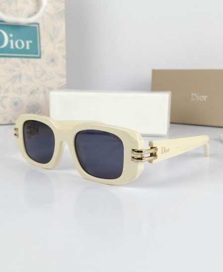 dior off white iconic sunglasses 5.jpg