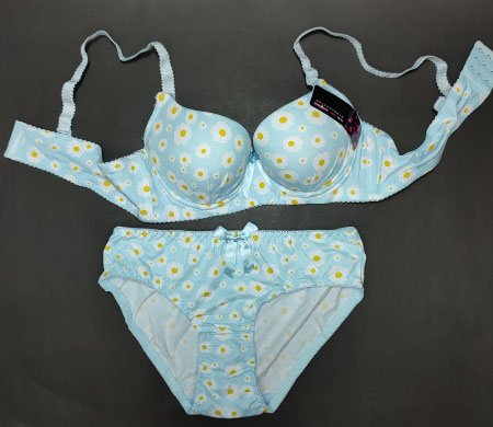 flora 2pc bra sky blue 36 2.jpg