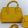 hermes birkin handbag mustard 2.jpg