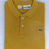 lacoste polo shirt in pakistan 4.jpg