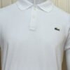 lacoste polo shirts white.jpg