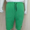 lacoste shorts green 1.jpg