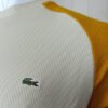 lacoste sweatshirts beige mustard 2.jpg
