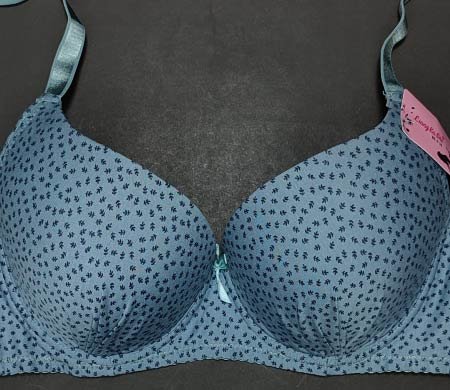 little leaves pushup bra blue 38 1.jpg