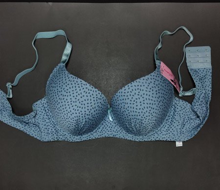 little leaves pushup bra blue 38 2.jpg
