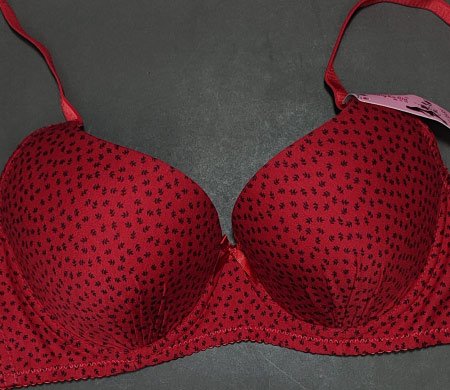 little leaves pushup bra red 38 1.jpg little leaves pushup bra red 38 1.jpg