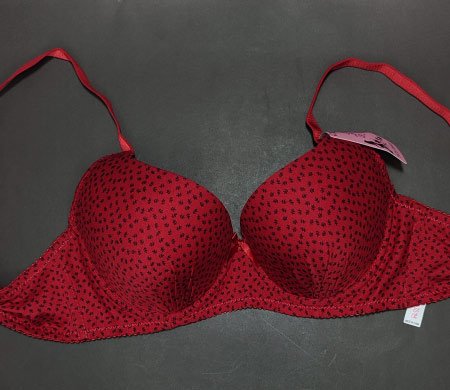 little leaves pushup bra red 38 2.jpg